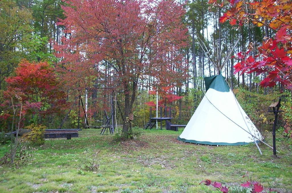 Alpine Inn Mizushiro Мацумото Экстерьер фото